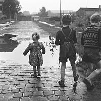 Freiburg | 1952